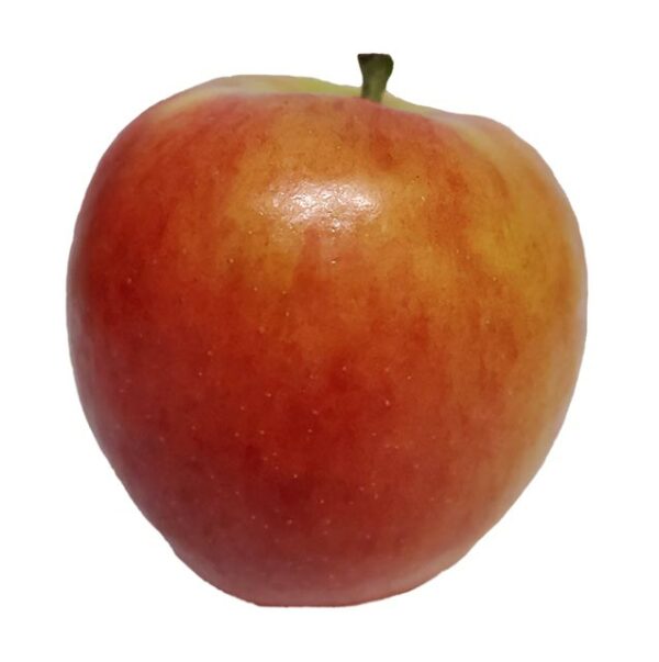 Apple - Jazz