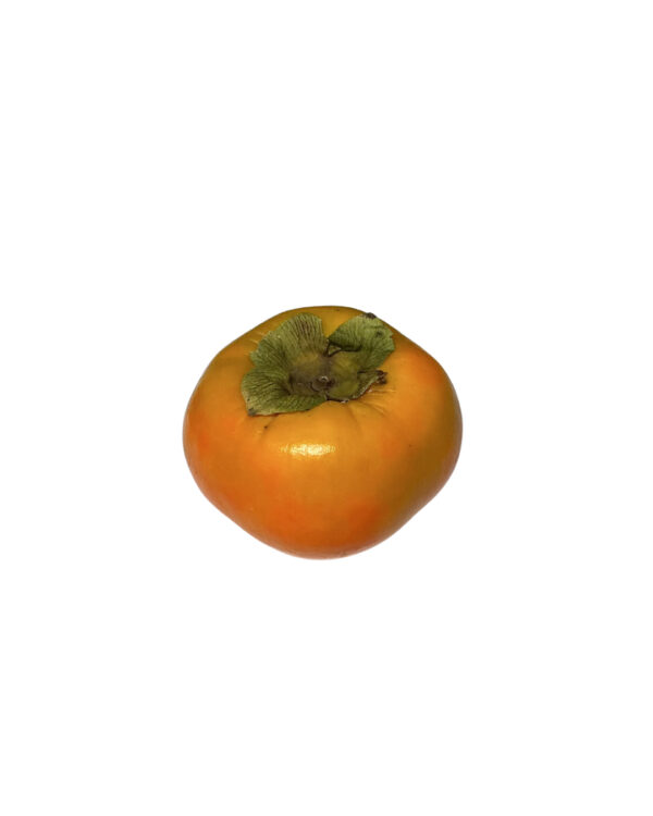 Persimmon